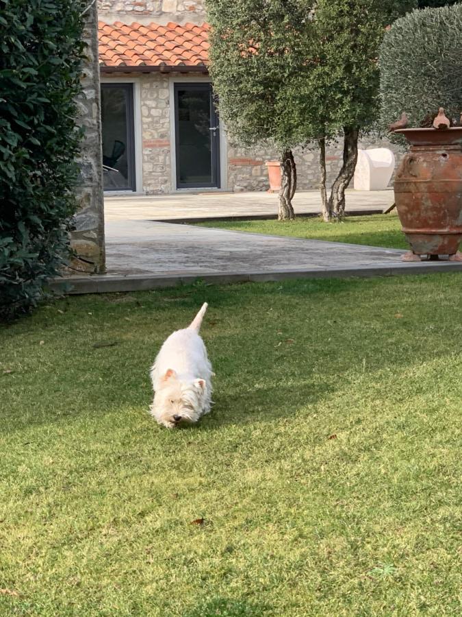 Holiday home In Con Piscina - Mhateria Relais Rignano Sull Arno